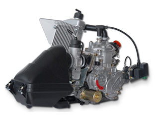rotax max